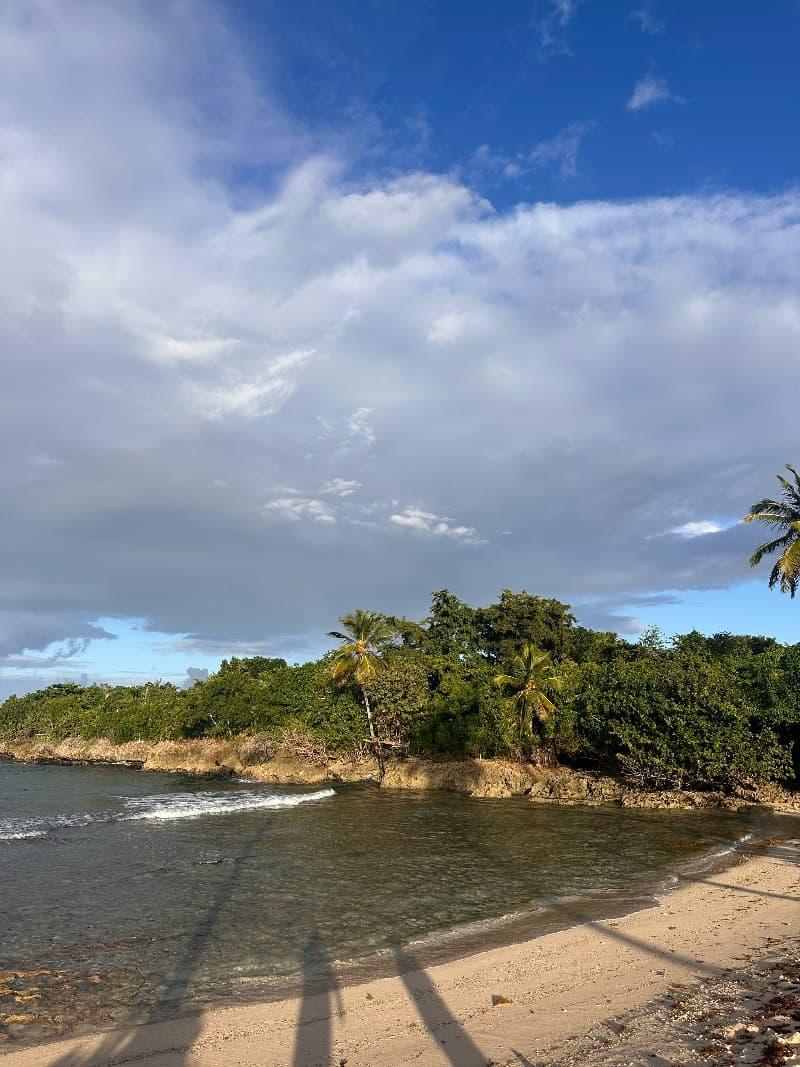 Costa rocosa con sombras de palmeras