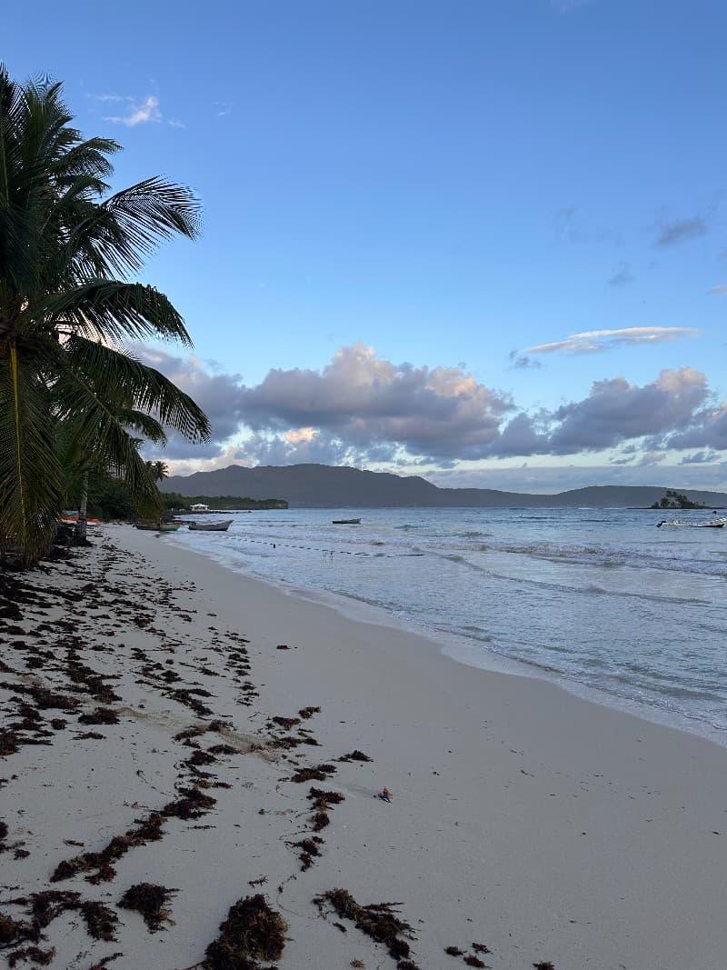 Atardecer con palmeras en el Caribe