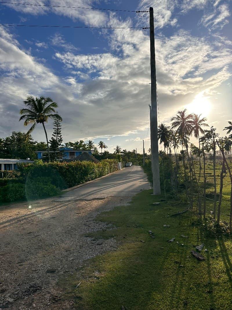 Camino rural con palmeras en Samaná